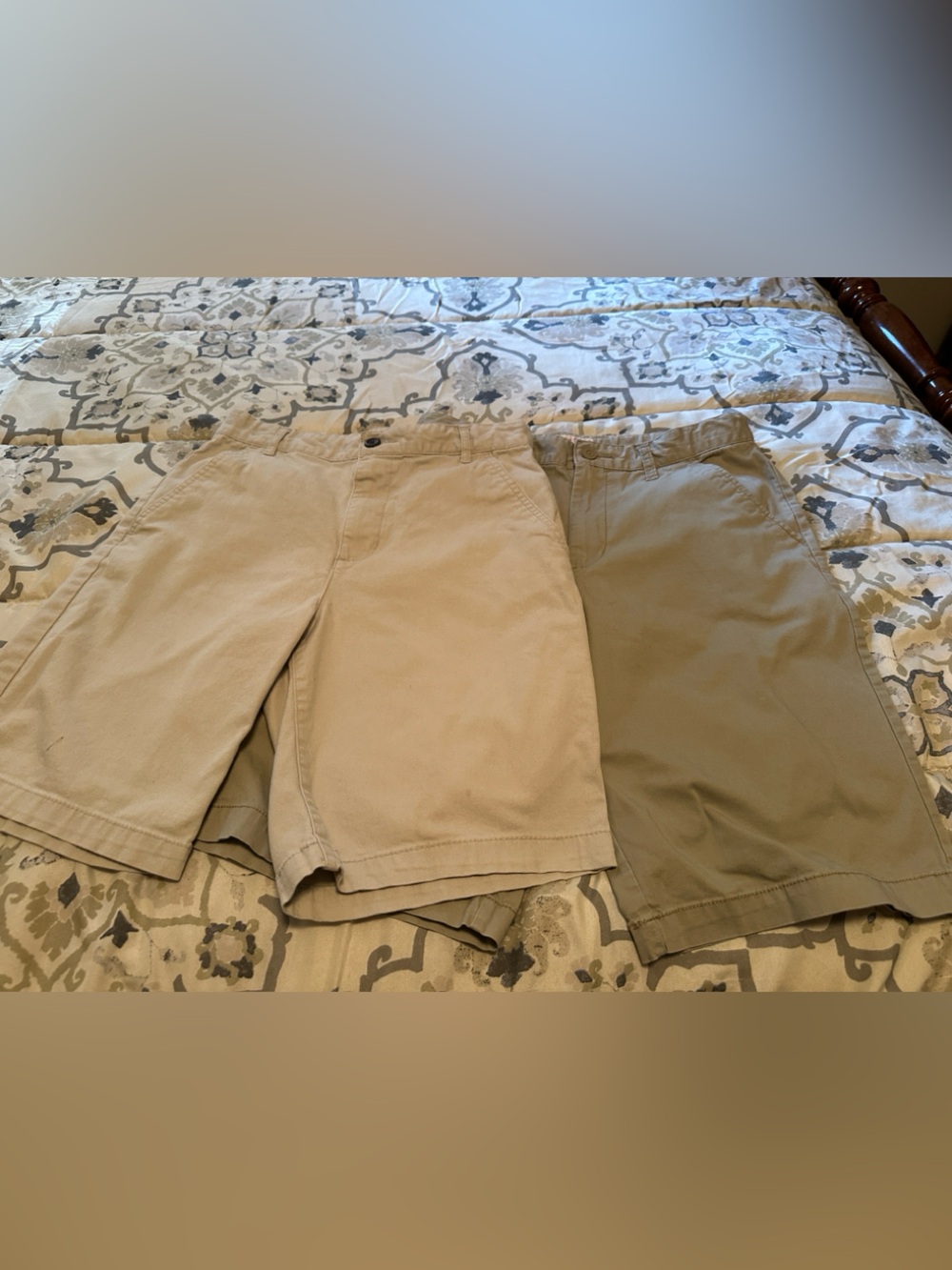 Cat & Jack Men's Chino Shorts in Khaki and Tan